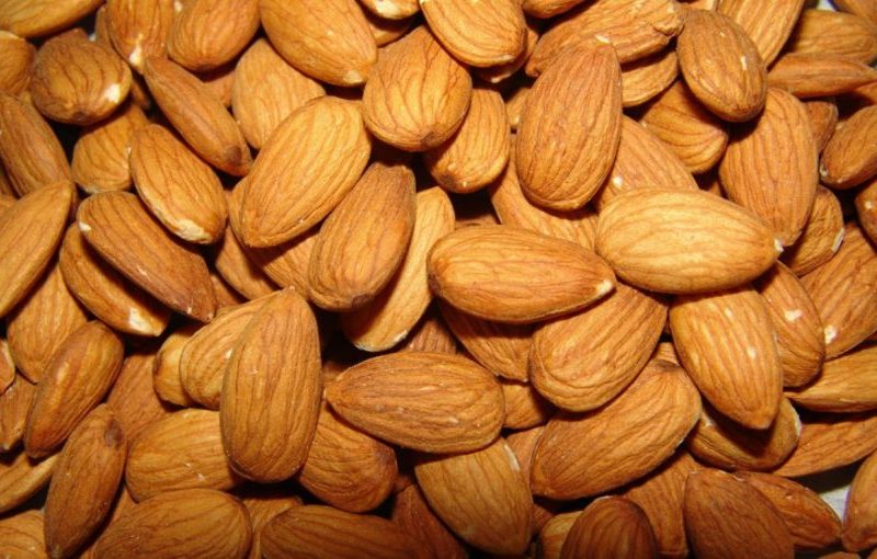 Significado del sueño de la almendra Significados Gratis